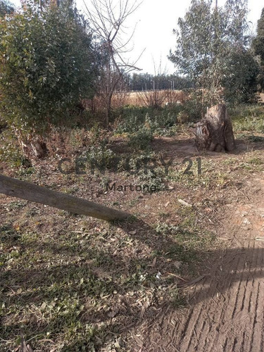Imagen 4 de 5 de Venta De Lote En Tandil
