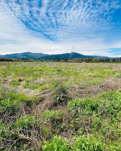 Terreno La Cuarta, Longaví. Rol Propio Inscrito+derecho Agua