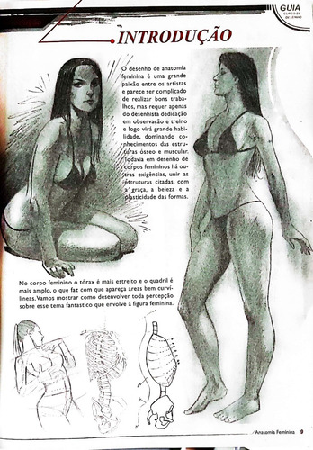 Guia Curso Básico De Desenho - Anatomia Feminina