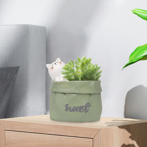 Maceta, Maceta De Resina, Mini Maceta Para Bonsái De Planta