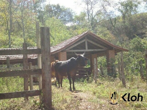 Imagem 24 de 24 de Vendo Magnifica Propriedade Rural Localizada Na Zona Rural De Areal Rj , - 2944373063518