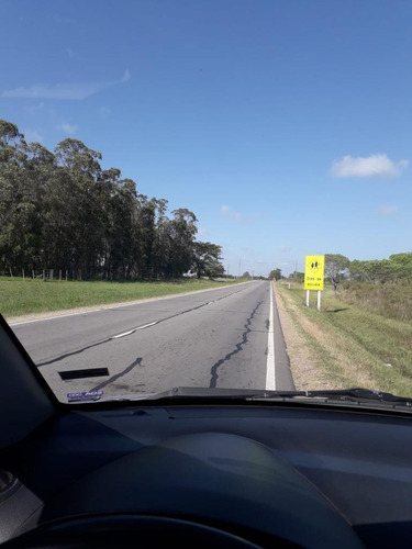 Campo En Ruta 32