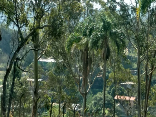 Imagem 2 de 16 de Terreno A Venda No Itaquaciara/mombaça - Te00009 - 32420434
