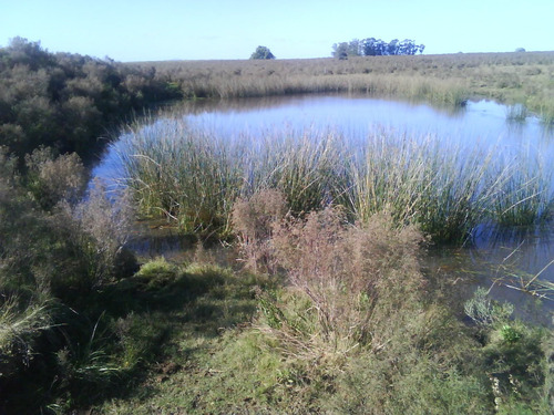 Campo En Cuchilla Alta Dueño Vende