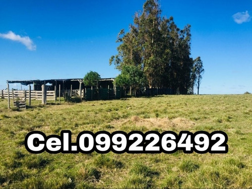 Vendo Campo Sobre Ruta 39 A 20 Minutos De Punta Del Este