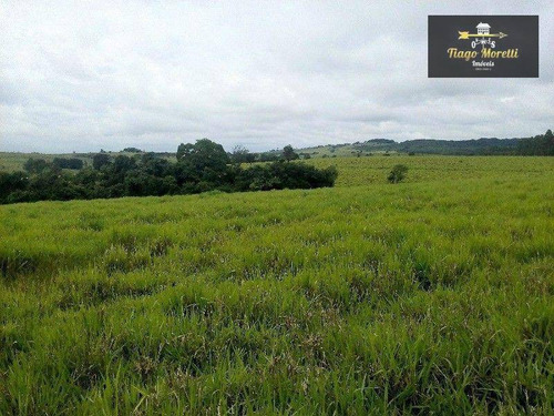 Imagem 7 de 15 de Fazenda Rural À Venda, Jardim Santo Antônio, Quadra - . - Fa0026