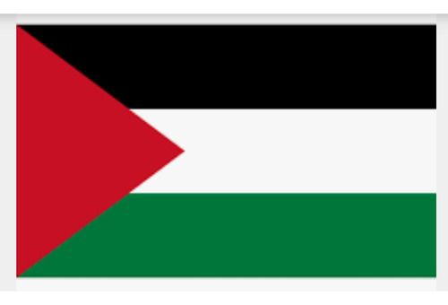 Bandera De Palestina De 1.40 X 90 Exteriores 