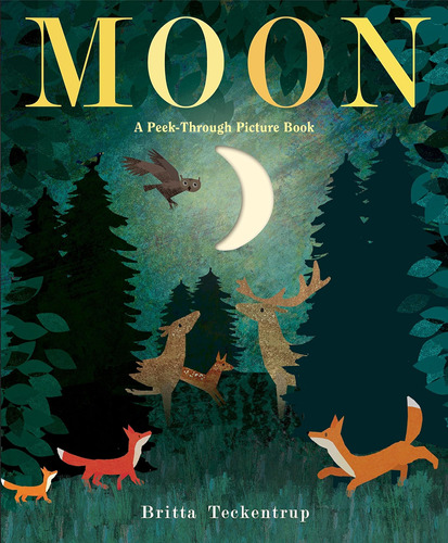 Libro: Moon: Un Libro Ilustrado A Través Miradas