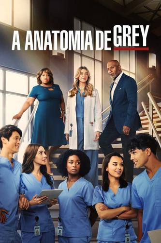Greys Anatomy 19ª Temporada Completa Dublado