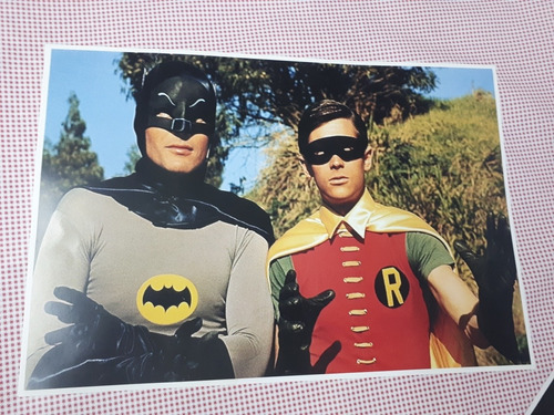 Cuadro Lamina Poster Batman Y Robin