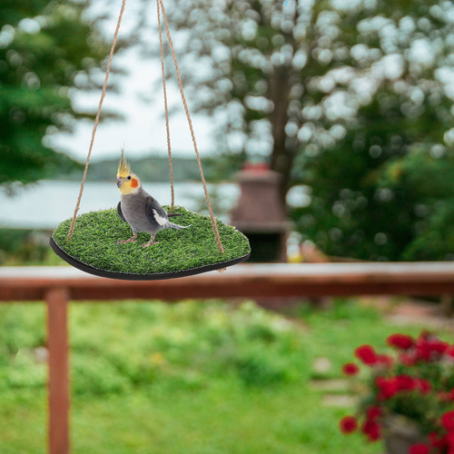 Hamaca Lizard: Columpio De Césped Artificial Para Loros Y Pá