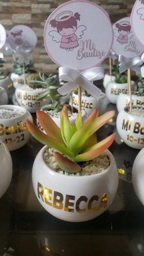 Imagen 6 de 10 de Regalos, Plantas Cactus Suculentas, Matrimonios Bautizo Misa
