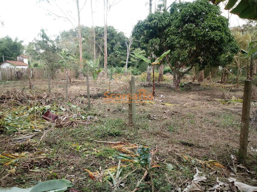 Imagem 18 de 19 de Chácara À Venda, Mombaça, Itapecerica Da Serra/sp - 804