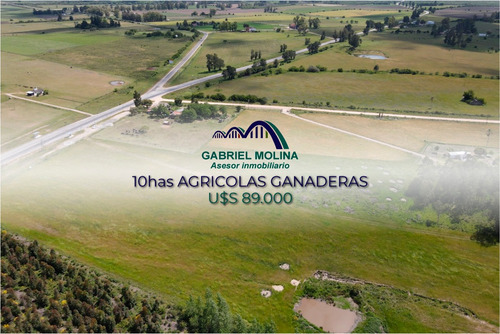 En Venta. 10 Ha Agrícolas - Ganadera.ubicación Estratégica.