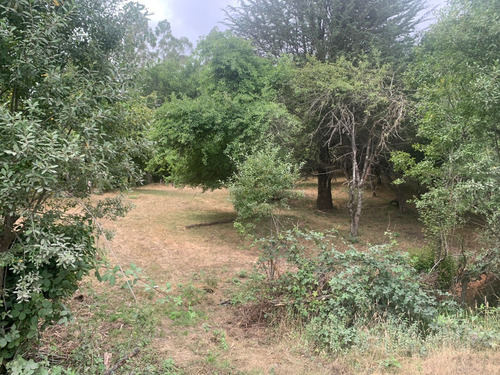 Parcela De 7.500 Mt2 En Sector Puninque