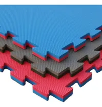 Comprar Pisos Goma Eva Bicolor 1x1 Metro X 25 Mm Gimnasios Karate