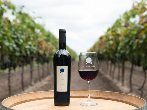 Imagen 2 de 3 de Vino Pozo De Luna Syrah 750 Ml