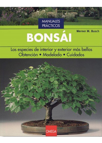 Bonsai (libro Original)