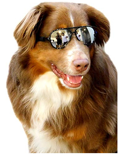G010 Dog Pet Disfraz Prop Aviator Gafas De Sol Razas Me...