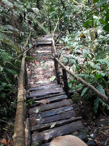 Imagen 8 de 16 de Se Vende Hostal En Filandia - Quindío