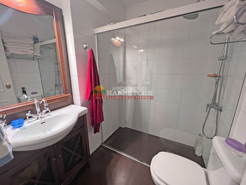 Imagen 22 de 30 de Apartamento En Venta 4 Dormitorios 3 Baños, Punta Carreta