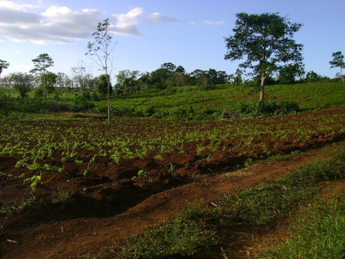 Imagen 6 de 14 de Venta De Hermosa Finca