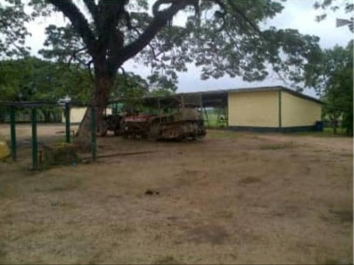 Imagen 5 de 14 de Finca En Venta En Edo. Barinas, Arismendi