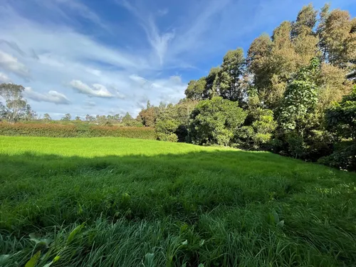 Hermoso Lote Ubicado En El Alto De Las Palmas