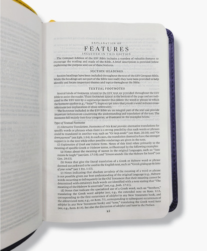 Imagen 5 de 10 de Compact Bible Esv Moonlight Owl Purple Yellow