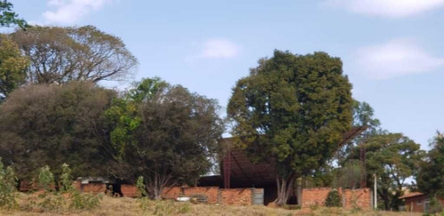 Imagem 5 de 27 de Sitio Com 2 Hectares A 4 Km Do Asfalto São João Da Boa Vista 600.000,00 - 33606