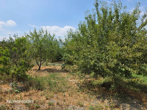Parcela 5.000 M2 Con Casa, Las Cruces, Olmué
