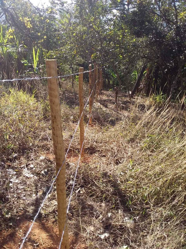 Imagem 1 de 6 de Chácara De 8.000 M² Á Venda