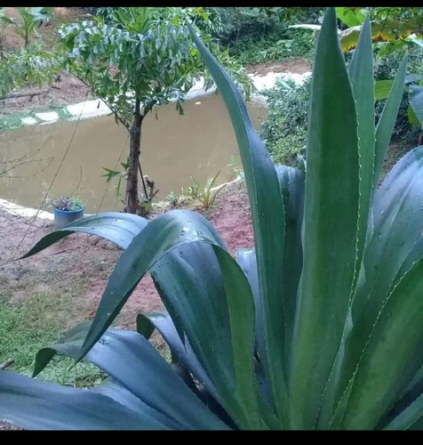 Vende-se Uma Chácara De 5.000 Metros Quadrados Com Lazer Completo!