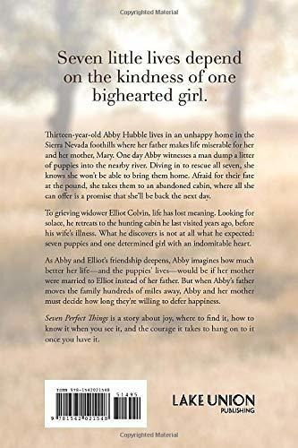 Seven Perfect Things A Novel - Hyde, Catherine Ryan, de Hyde, Catherine R. Editorial Lake Union Publishing en inglés