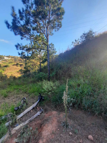 Imagem 5 de 7 de Terreno Em Declive - Linda Vista - Atibaia