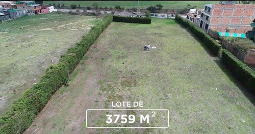 Imagen 2 de 7 de Lotes En Venta Bojaca 476-2333