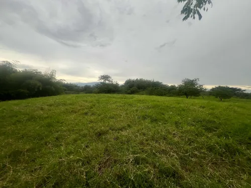Lote Proindiviso Morelia