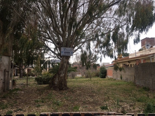 Imagen 2 de 3 de V067- Lote De Terreno En Nueva Atlantis A 2 Cuadras Del Mar