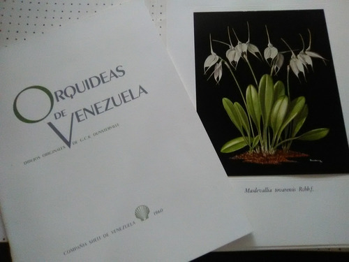 Orquídeas De Venezuela 
