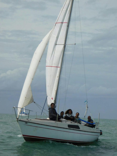 Velero Roy 20