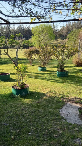 Imagen 3 de 14 de Alquilo Casa En El Campo A 8 Km De Minas!!!!!