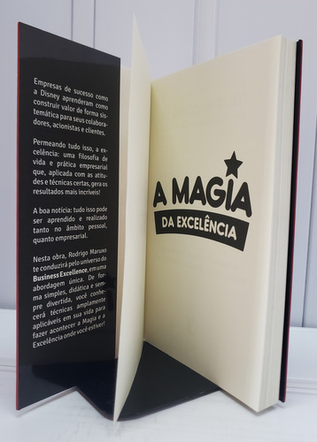 A Magia Da Excelência - Inspiração E Técnicas Essenciais Para Alavancar Carreiras E Negócios (Usado)