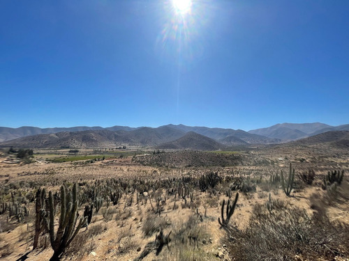 Terreno Agricola Viñedos Y Nogales+derechos De Agua+riego