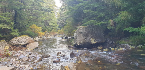 Refugio Llaima: Desde 5000m2 A Orillas Del Río Huichahue