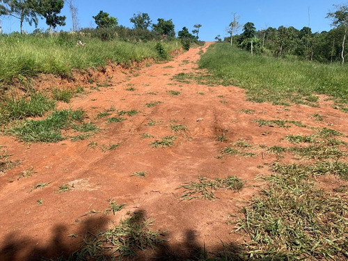 Imagem 1 de 24 de Ds-terreno Próximo De Igarata