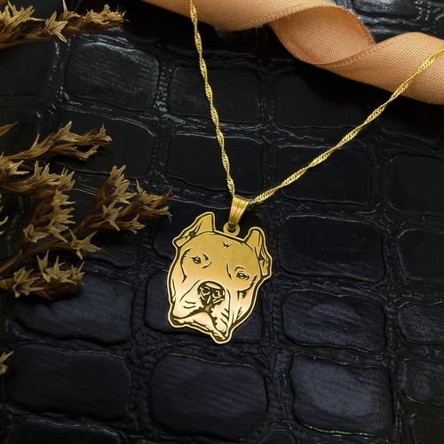 Cadena Y Dije Perro Dogo Argentino Mascota Oro 18k Amarillo 45 Cm