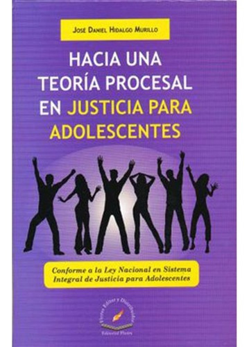 Hacia Una Teoría Procesal En Justicia Para Adolescentes, De José Daniel Hidalgo Murillo., Vol. 01. Editorial Flores Editor Y Distribuidor, Tapa Dura En Español, 2016