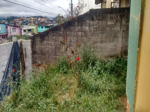 Imagem 6 de 7 de Terreno - Te00035 - 67841785