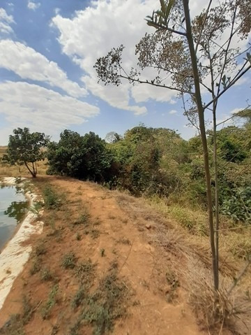Imagem 17 de 20 de Área Rural De Santo Antônio Do Descoberto Chácara 20000m² - Meuimm318 - 68460371
