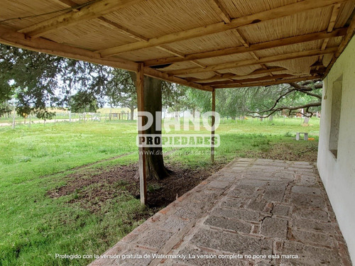 Imagen 6 de 9 de Casa De Campo - Chacra De 1 Ha